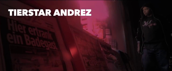 Beitragsbild Tierstar Andrez - die Stadt Meine Hood Musikvideo
